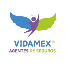 Vidamex Seguros