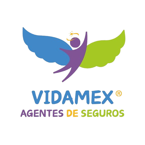 Vidamex Seguros